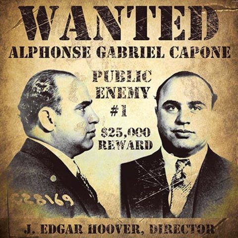 Wilson:Al Capone's Crime Ring
