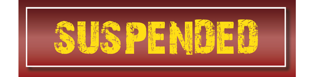 NY Assembly Suspension