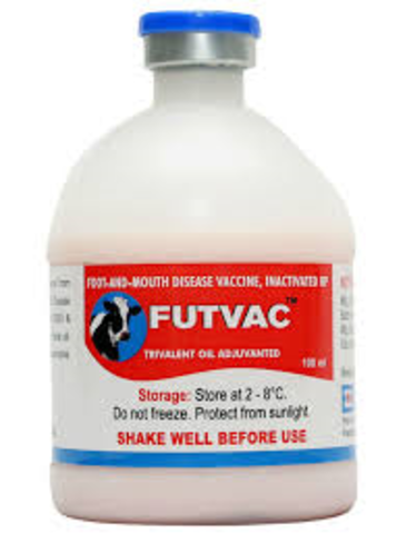 Foot and Mouth Disease