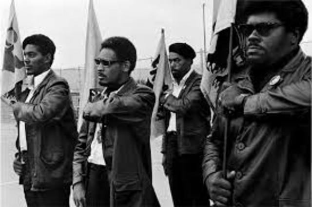 Black Panthers are founded by huey newton