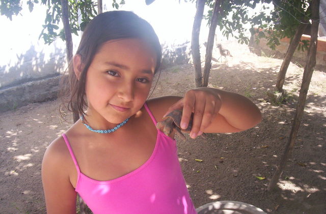 vaig anar de viatge a la guajira