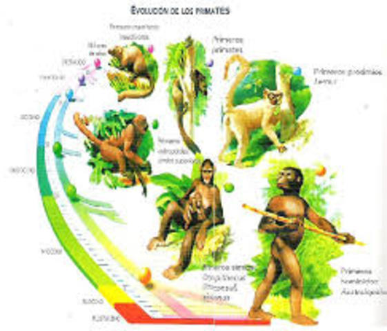 elhombre ha debido controlar la calidad de losproductos que consumía