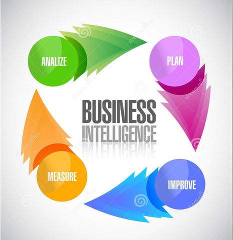 Create Business Intelligence to Drive Decisions