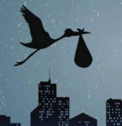 Nacimiento: En Guaymas