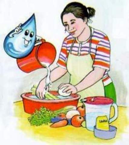 PROTECCION DE LOS  ALIMENTOS