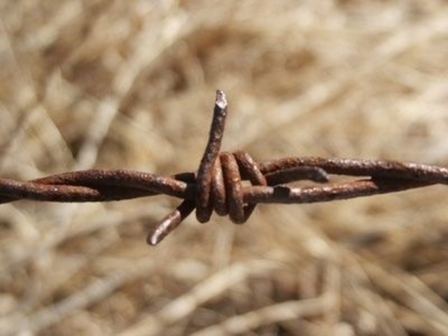 Joseph Glidden - Barbed Wire