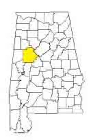 Moved to Tuscaloosa, AL