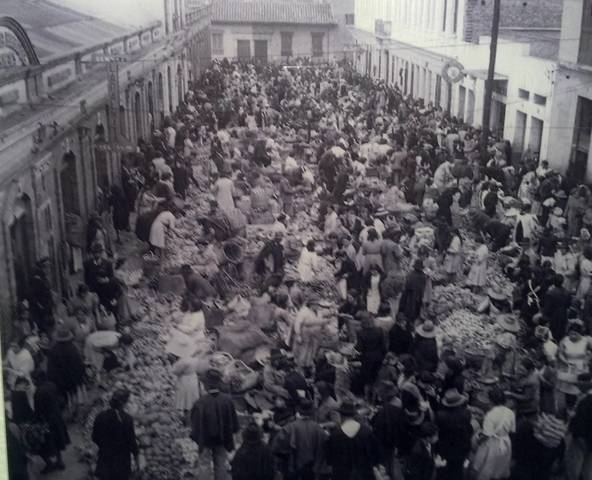 movimientos sociales