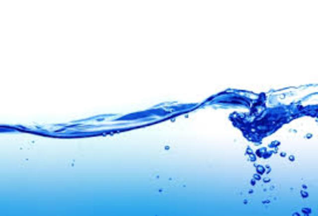 The Treatise on the Equilibrium of Liquids