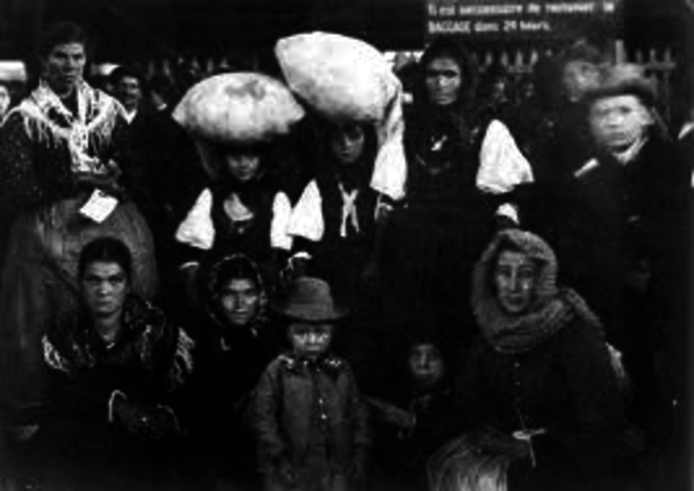 National Quota System