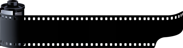 Las primeras reproducciones fotografias