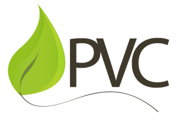 ELABORACIÓN DE MI PLAN DE VIDA Y CARRERA