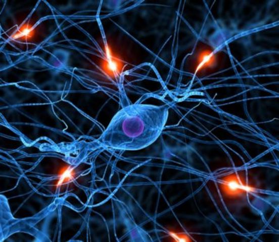 Infancy - Physical/Cognitive - Brain Waves