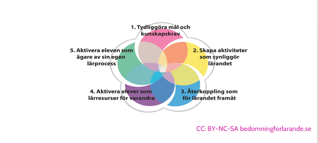 Formativ bedömning av undervisning