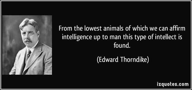 Edward Lee Thorndike - Cont'