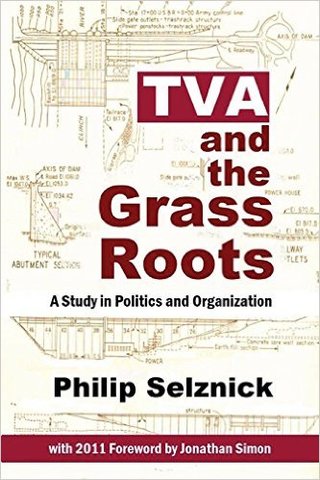 Selznick's Tenessee Valley Authority Project