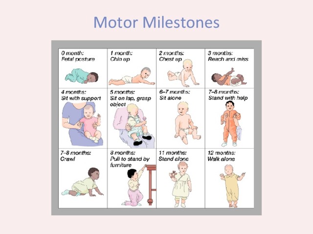 Habits And Reactions