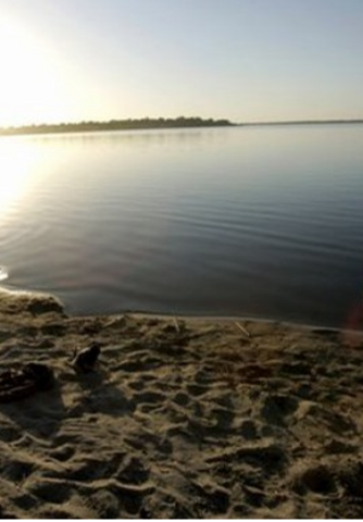 Sao Civilization is Thriving