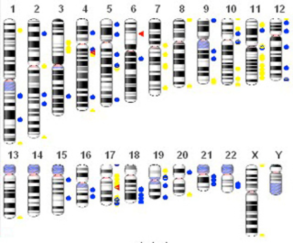 Deciframiento del Genoma Humano