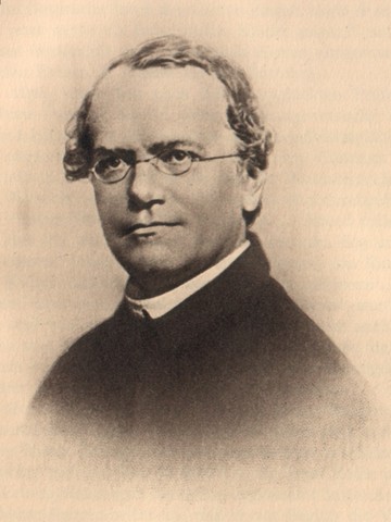 Reglas de la herencia genética (Gregor Mendel)