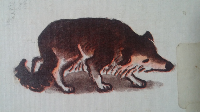 The search continues