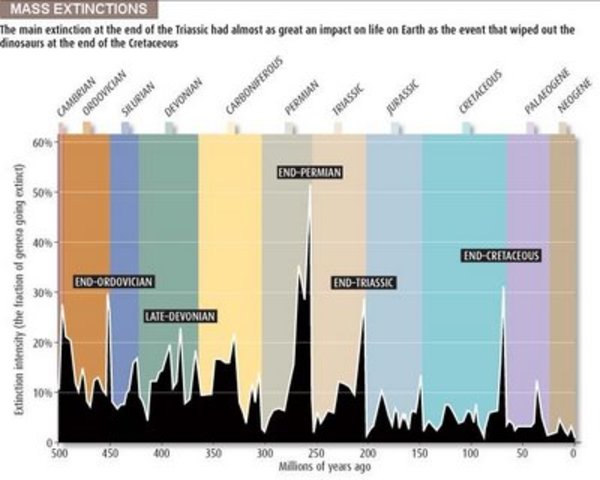 Clase: Extinciones Masivas-Paleoecología