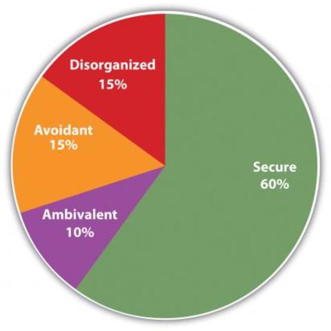 Ambivalent Attachment Pattern