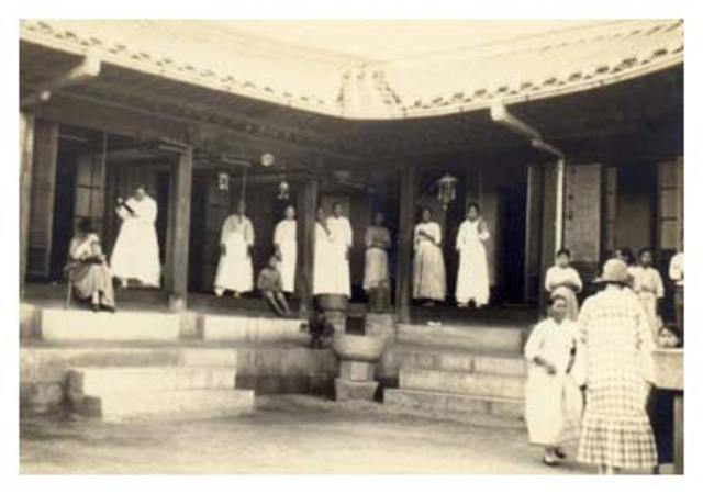 The creation of Trot