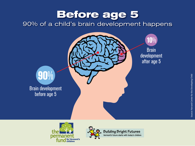 TODDLER - Brain Growth - physical/cognitive