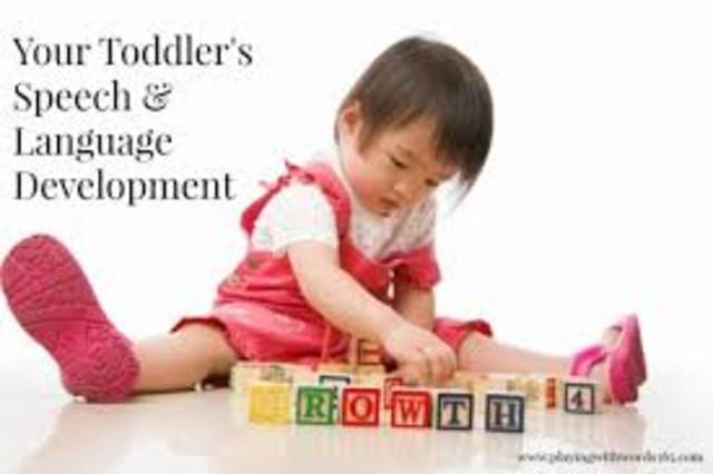 Toddlerhood- Rapid Language Growth (Cognitive)