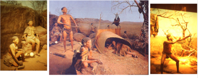 Diorama: Bushmen Exhibit