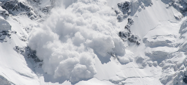 Dutch Flat Equirer Article