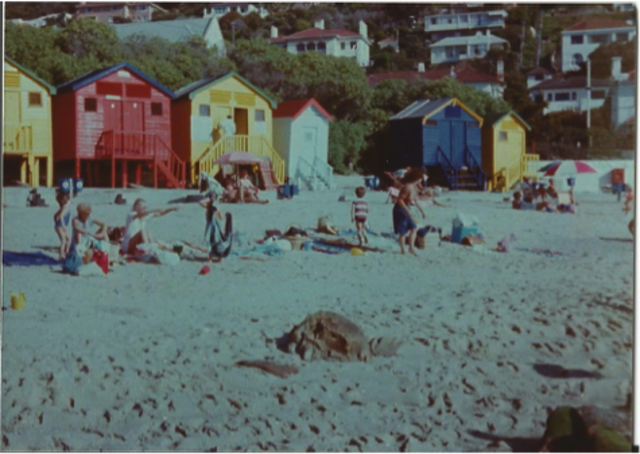 Carew's at St James beach