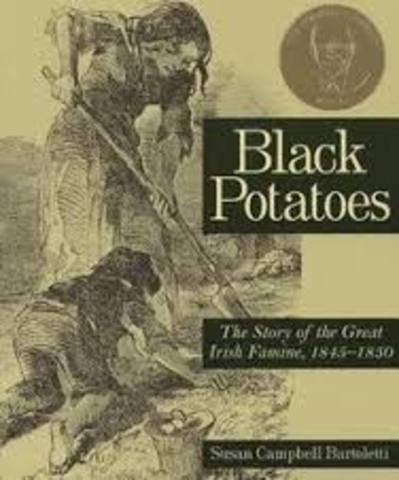 Black Potatoes: The Story of the Great Irish Famine 1845-1850 by Susan Campbell Bartoletti