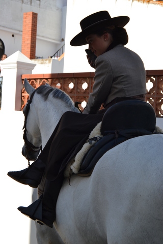 me regalaron por reyes una montura de amazona