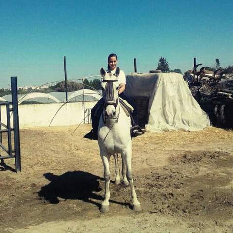 me regalaron mi primer caballo