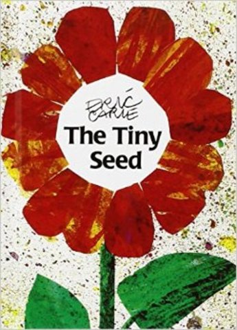 The Tiny Seed