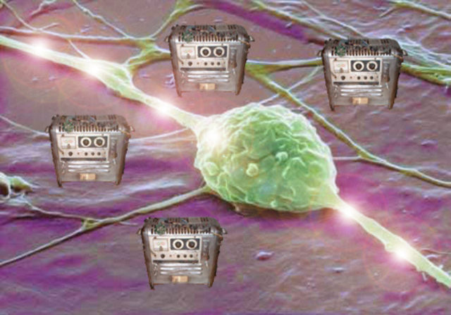 Shamule Winograd y Jack Cowan