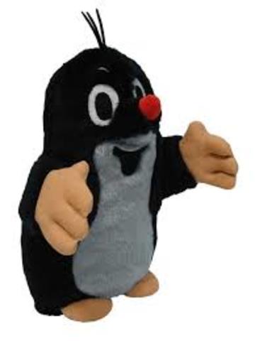 The story is presented to the whole school