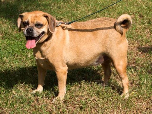 Another One in the Family