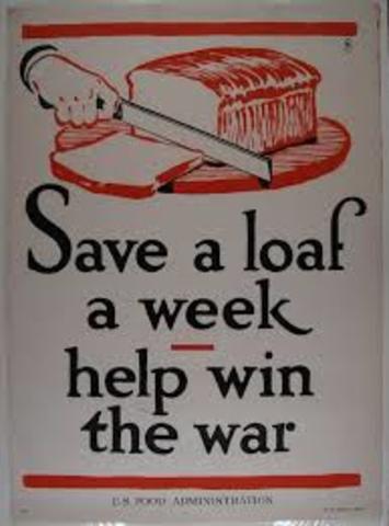 Food Administration set up under Herbert Hoover