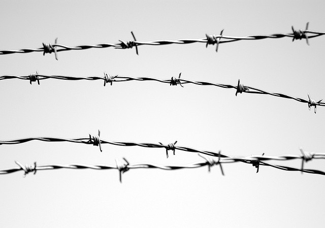 Barbed Wire