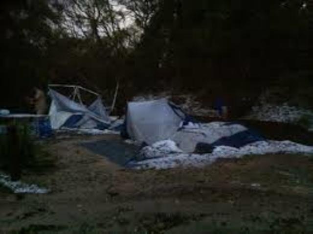 Camp destroyed by animals.