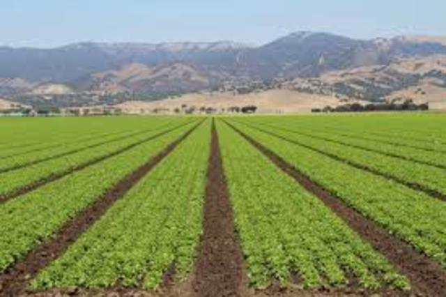 Cabeza's crew finds food.