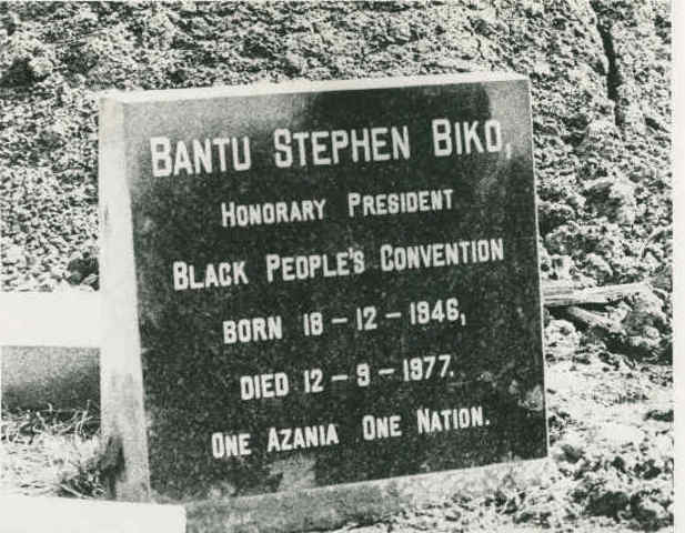Steven Biko Dies