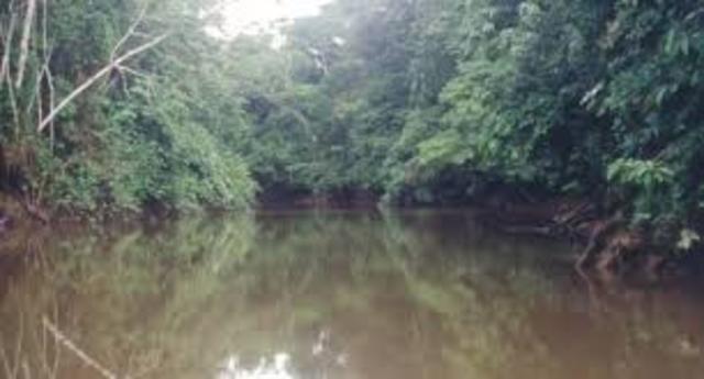 Conferencia Mundial sobre el Medio Ambiente