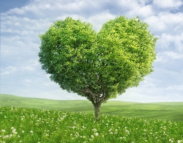 Tema de la Ecología