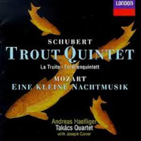 Franz Schubert´s best work