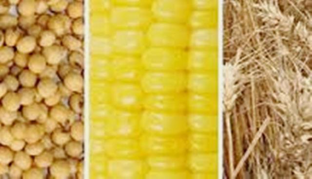 Creación de la Dirección general de Beneficiencia-ayuda