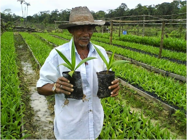 Primeros subsidios agrícolas y ganaderos